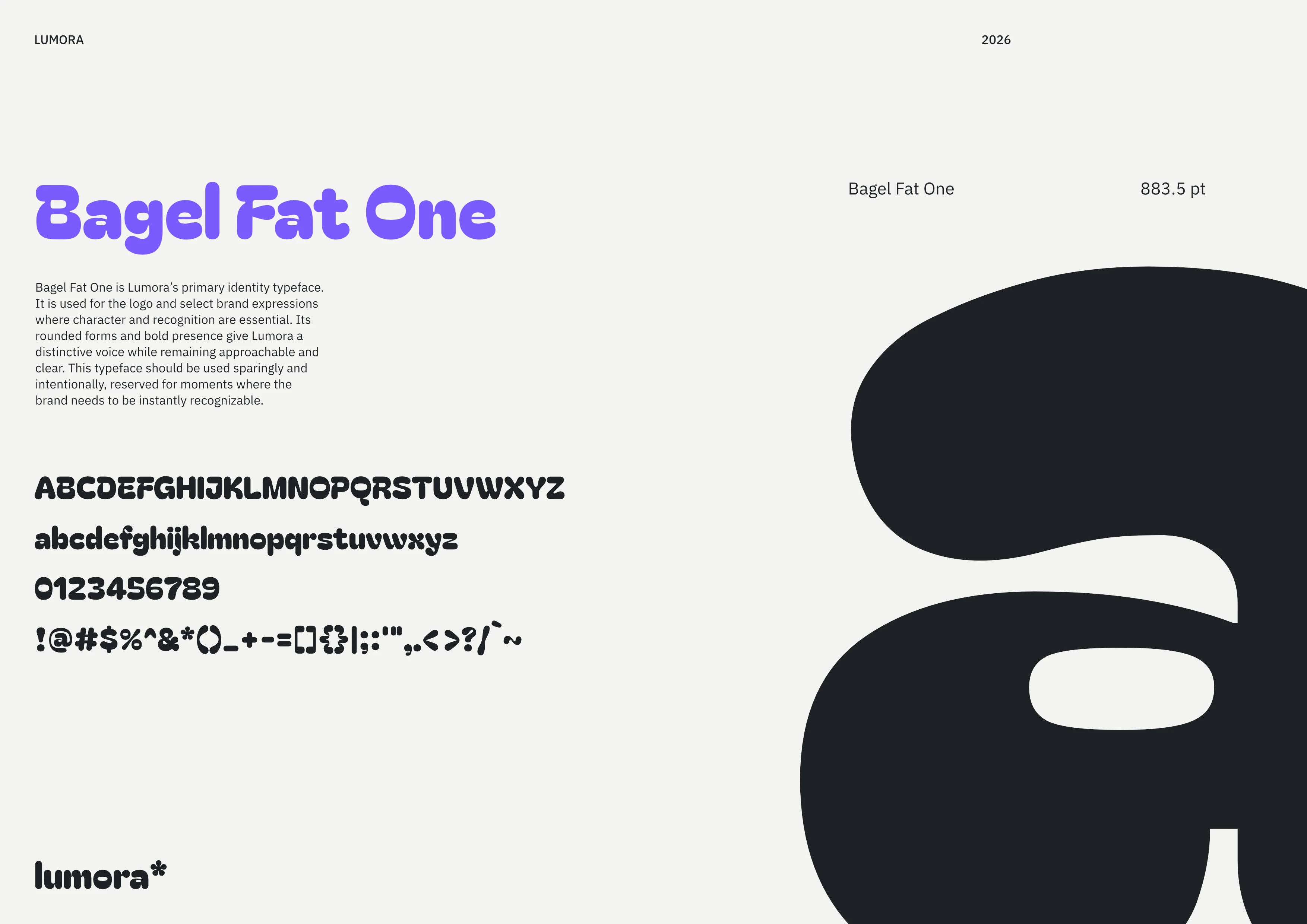 Lumora Branding Guidelines 18